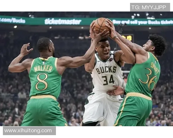 雄鹿与绿军谁更强大NBA对决引发球迷热议分析