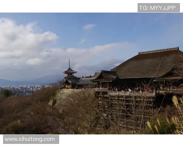 岐阜FC主场迎战京都队全力争胜展现球队实力与斗志