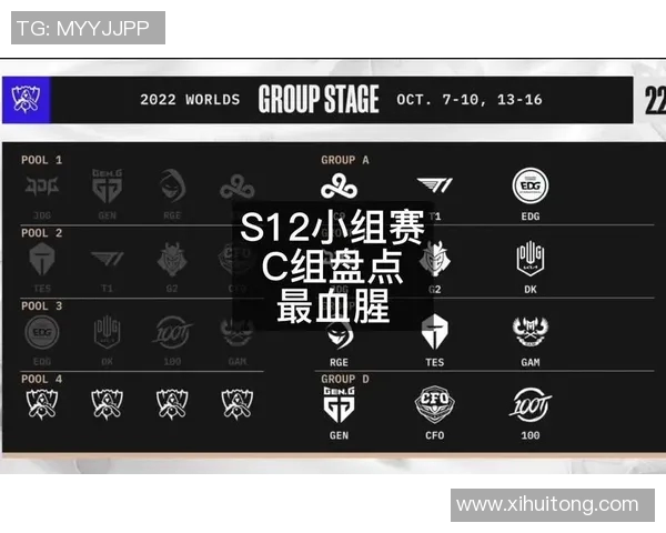 TES与DRX队内语音揭秘赛场背后的默契与策略分析