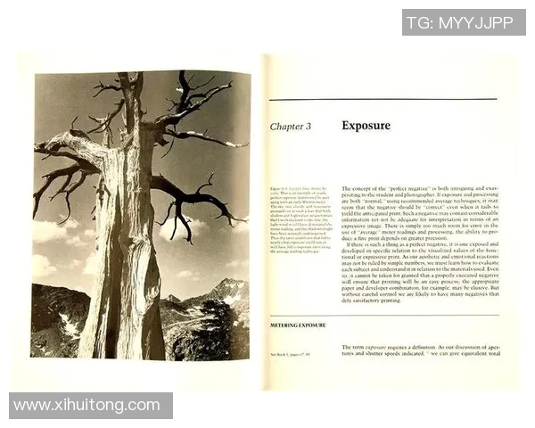 亚当斯的传奇旅程探索他在历史与文化中的深远影响