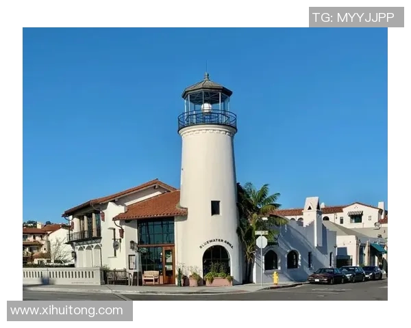 多伦多与休斯顿城市发展对比分析及未来展望探讨