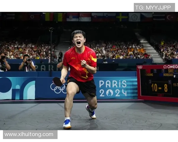 杭州乒乓球队在世界杯预选赛中的奋斗与突破之路全景回顾MBA