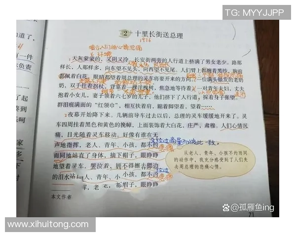 焦泊乔的成长之路与未来展望:从平凡到卓越的奋斗故事